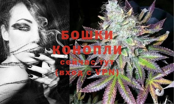 дмт Каменногорск