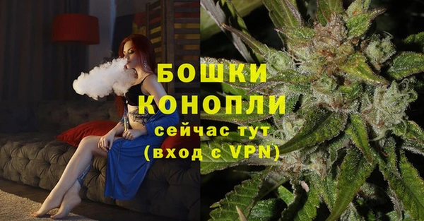 дмт Каменногорск