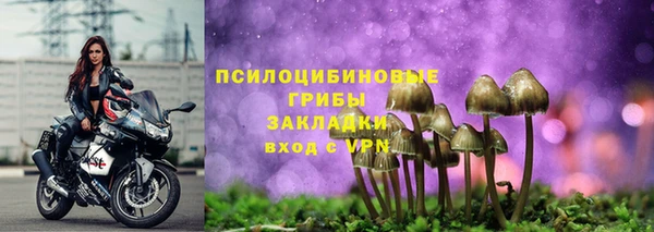ПСИЛОЦИБИНОВЫЕ ГРИБЫ Карталы